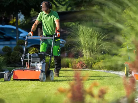 Wertykulacja trawnika – o czym pamiętać