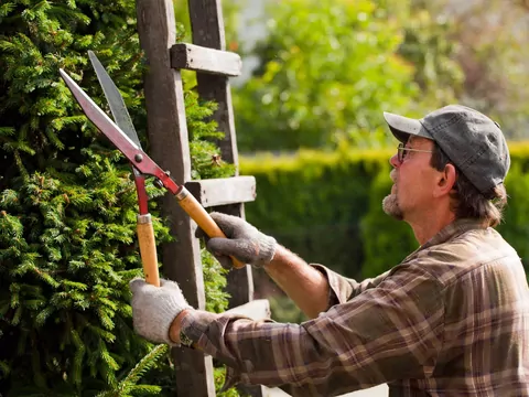 Czy warto wynająć ogrodnika