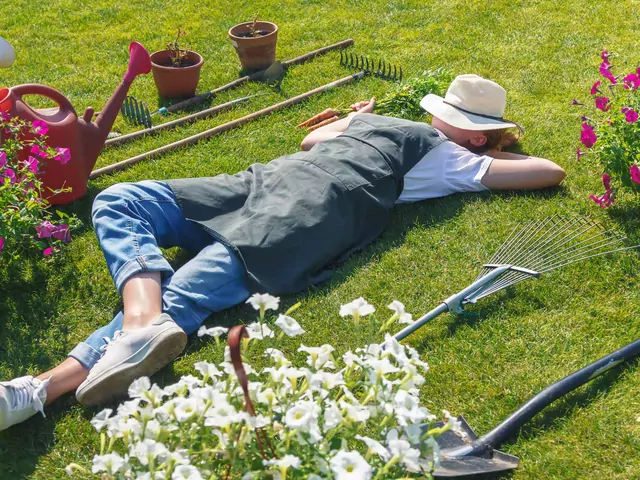 Kosa spalinowa Hyundai do ogrodu