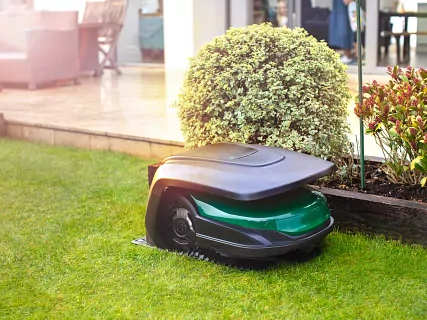 Zakup robota koszącego Robomow