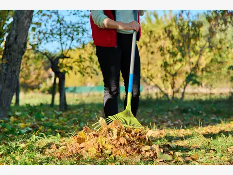 Niezbędne narzędzia do jesiennych porządków