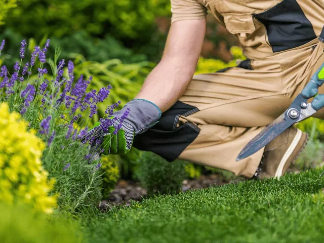 Profesjonalna pielęgnacja ogrodu w Toruniu