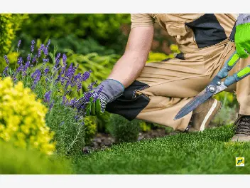 Ilustracja artykułu jak powinna wyglądać profesjonalna pielęgnacja ogrodu w toruniu?