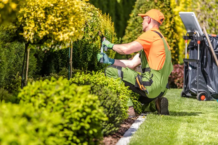 Usługi ogrodnika – kiedy warto skorzystać z usług fachowca i gdzie szukać ogłoszeń?