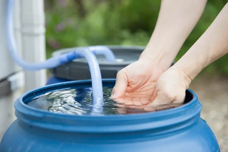 Jak ekologiczne gromadzenie wody wpływa na oszczędności w domowym budżecie