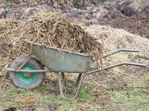 Rodzaje i właściwości oborników granulowanych