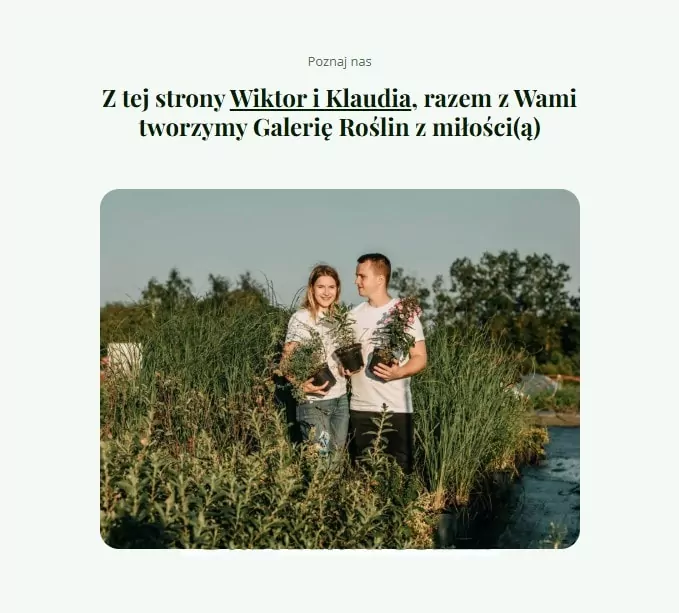 Zanim wybierzesz kwiaty do ogrodu, sprawdź, czy preferują słońce, półcień czy cień Galeria Kwiatów