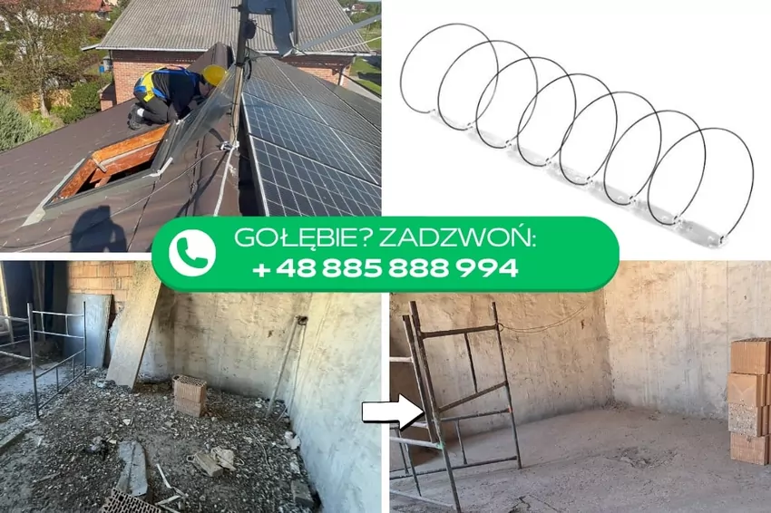 sprzątanie po gołebiach grupastop.pl