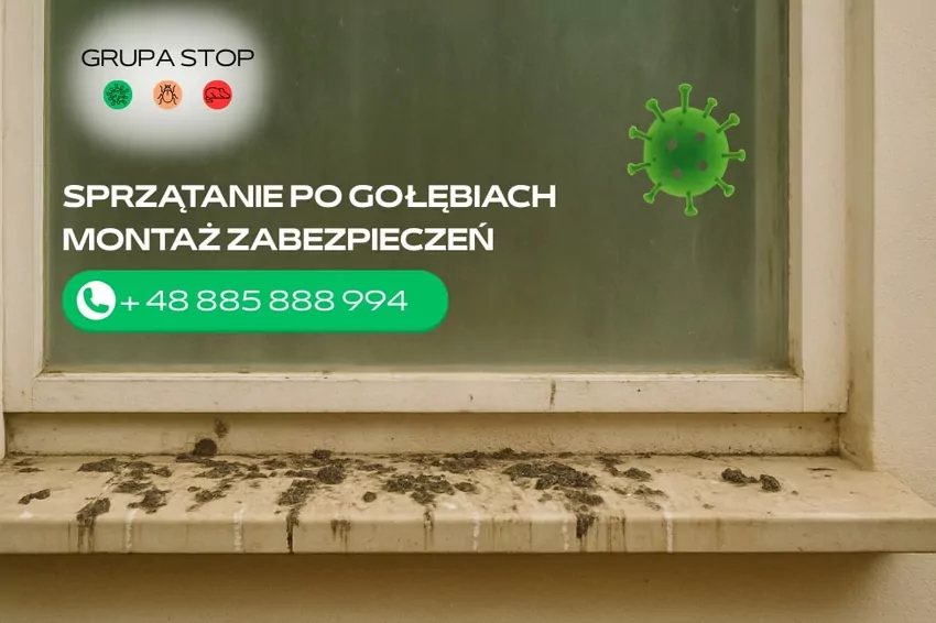 zabezpieczenia na ptaki grupastop.pl