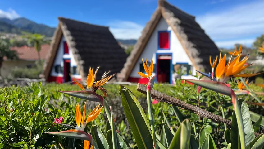 Strelicje na Maderze