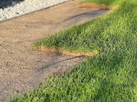 Kiedy zakładać trawnik?