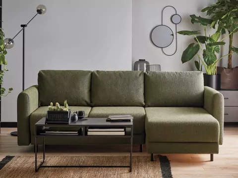 Rośliny z meblami w salonie