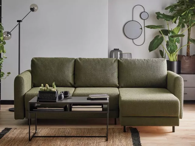 Rośliny z meblami w salonie