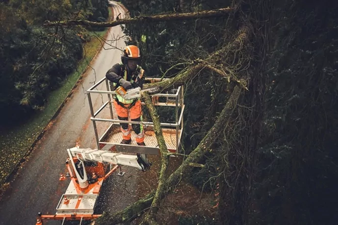 Pilarki akumulatorowe coraz częściej wybierają profesjonaliści z branży arborystycznej - doskonałym przykładem jest STIHL MSA 190 T.