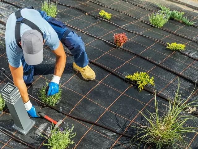 Jak zaplanować budowę ogrodu?