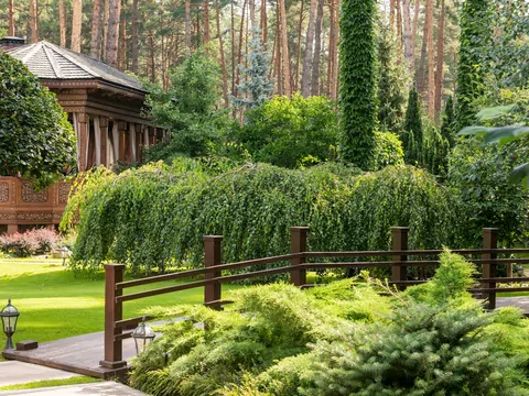 Aranżacja ogrodu krok po kroku