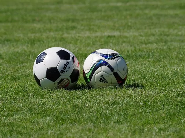 Aerator czy wertykulator: które urządzenie wybrać