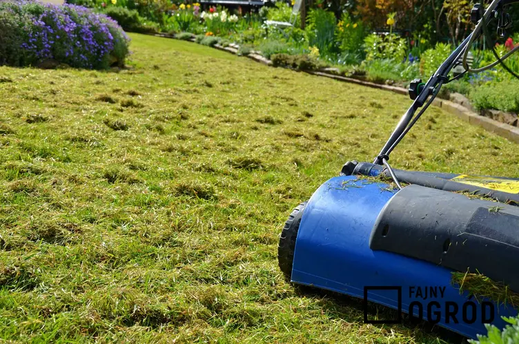 Areator wertykulator to przydatne urządzenie w każdym ogrodzie. Służą do napowietrzania ziemi i poprawiania struktury trawnika