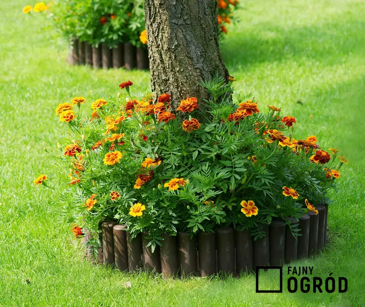 Palisada betonowa ma wiele zastosowań. Można używać jej wokół niewielkich rabatek, by dobrze je oddzielić od reszty ogrodu.