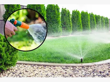 Ilustracja artykułu jak wykorzystać zraszacze w ogrodzie? wady i zalety tego rozwiązania