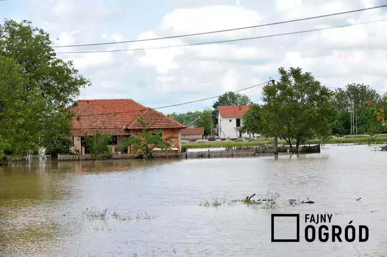 Zalany ogród przez powódź