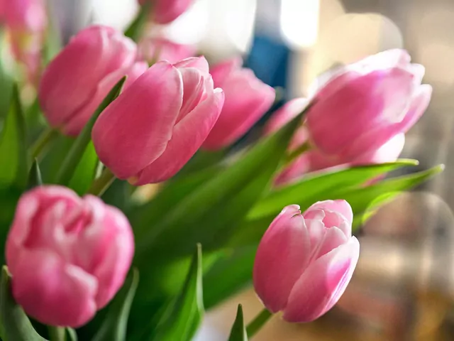 Przepisy na dania z tulipanami