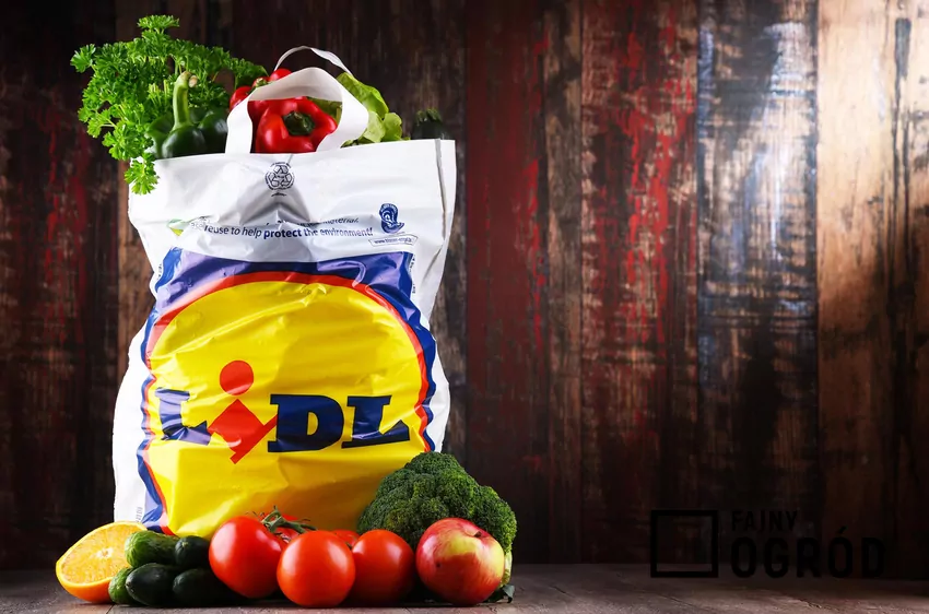 Reklamówka ze sklepu Lidl