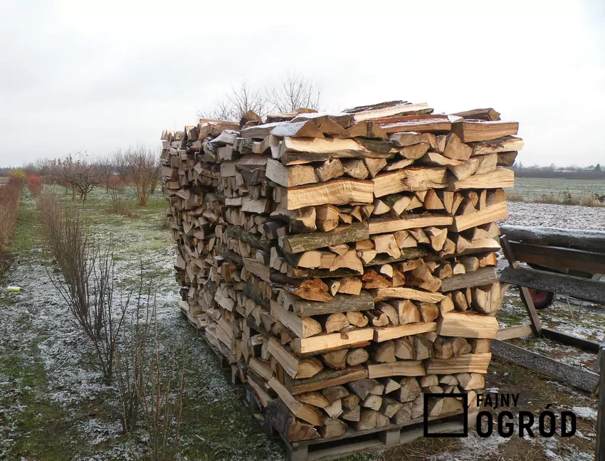 Sezonowanie drewna w przewiewnym miejscu to podstawa – tylko suche kawałki zapewnią efektywne spalanie Drewno opałowe na paletach