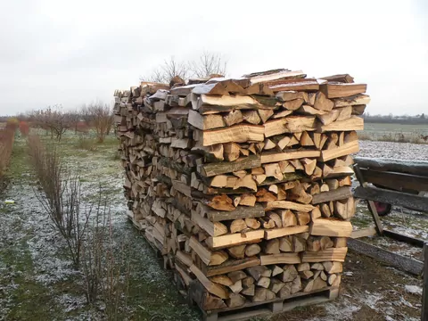 Które drewno kominkowe jest najbardziej kaloryczne?