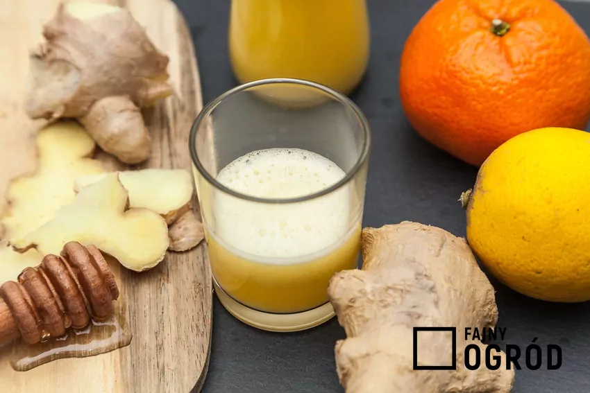 Coraz więcej osób sięga po naturalne sposoby wspierania organizmu i odporności Imbir, cytryna i miód w czasie przygotowania napoju