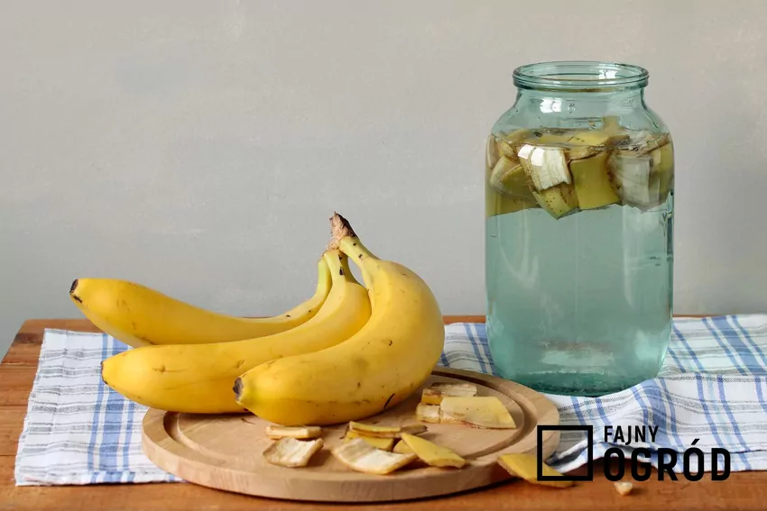 Nawóz ze skórki z banana
