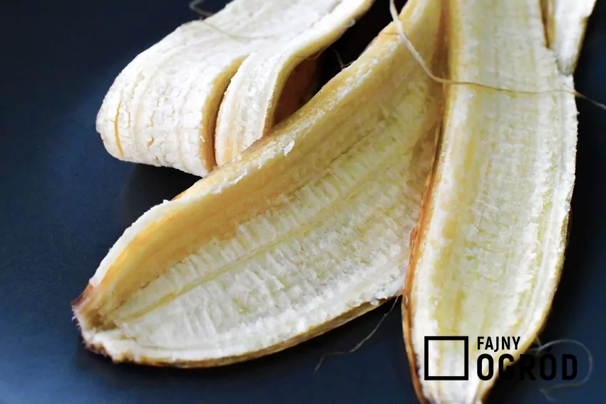 Skórki z bananów