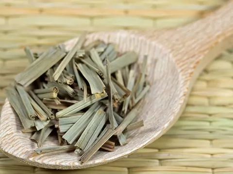 Trawa cytrynowa - uprawa i zastosowanie