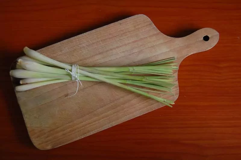 Palczatka cytrynowa w doniczce – idealna do uprawy w domu Trawa cytrynowa, czyli palczatka cytrynowa na desce do krojenia, a także uprawa rośliny w ogrodzie, warunki, wymagania