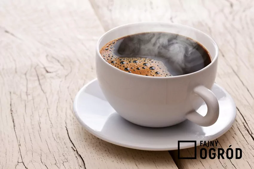 Kawa to nieodłączny element poranków wielu osób Kawa Bellarom w puszce ustawiona na blacie