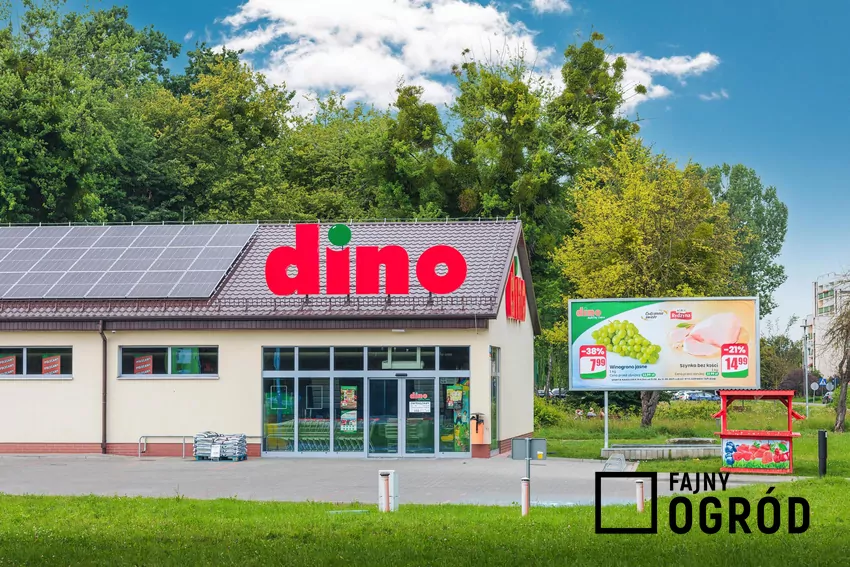 Sklep Dino