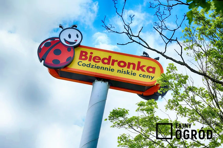 Przegląd gazetki Biedronki z dn. 13-18.10 Logo sklepu Biedronka