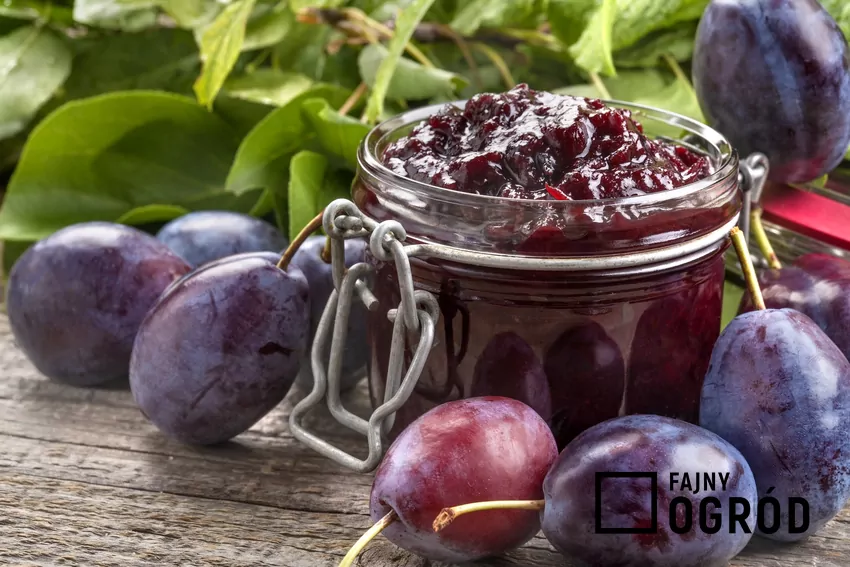 Najlepszy dżem ze śliwek