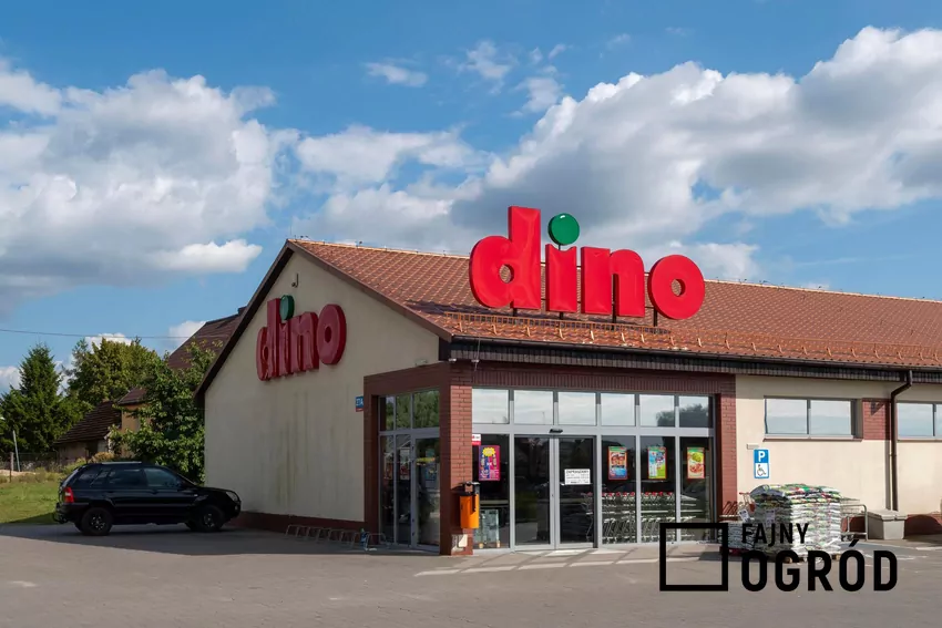 Nowości w Dino w dniach 15-21 października Dino