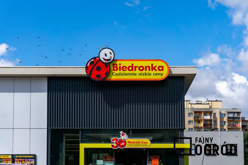 Przegląd gazetki Biedronki z dn. 16-18.10 Sklep Biedronka