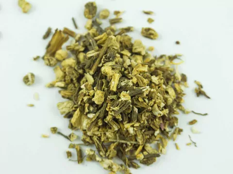 Arcydzięgiel litwor - właściwości i uprawa