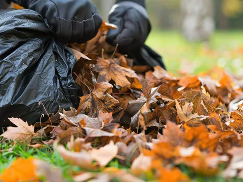 Kompost w worku foliowym