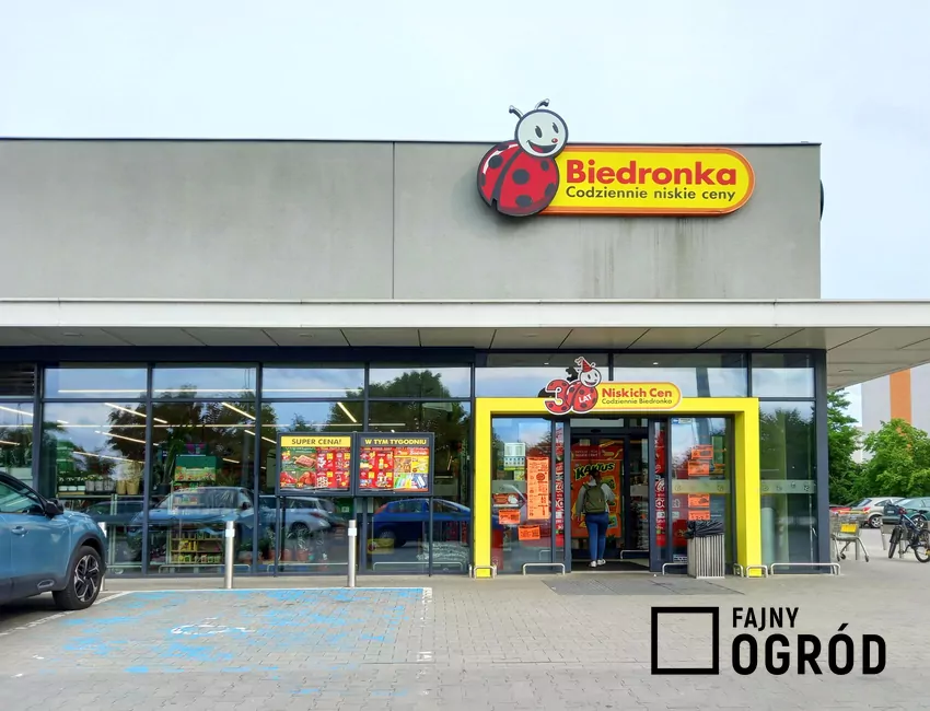 Od 20 do 25 października świetne promocje w Biedronce Sklep Biedronka