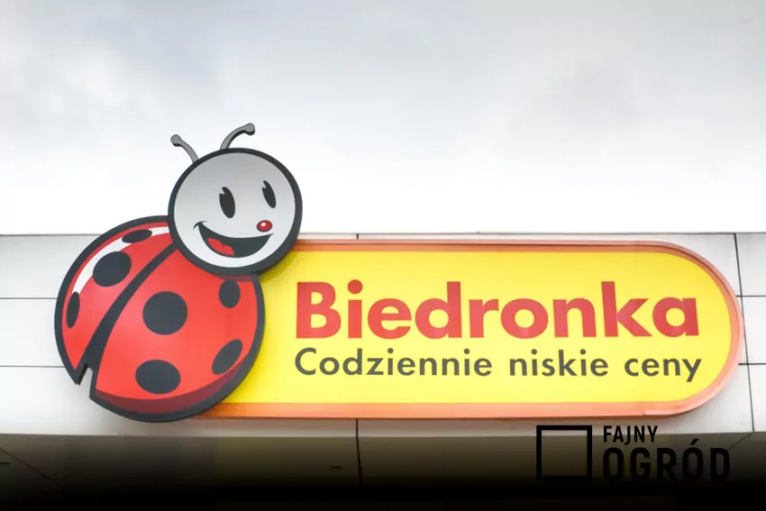 Przegląd gazetki Biedronki z dn. 20-25.10 Logo sklepu Biedronka