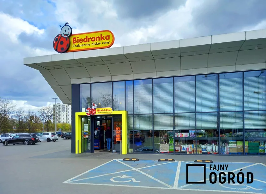 W dniach 20-25 października dużo ciekawych promocji w sieci sklepów Biedronka Biedronka - sklep