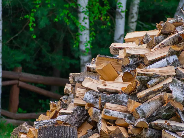 Jak rozpoznać suche drewno kominkowe?