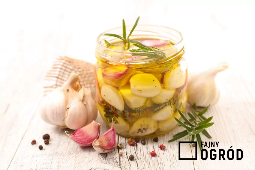 Czosnek marynowany w słoiku