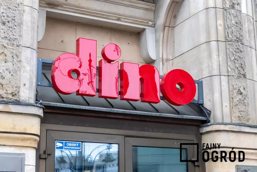 W dniach 22-28 października mnóstwo promocji w Dino Dino