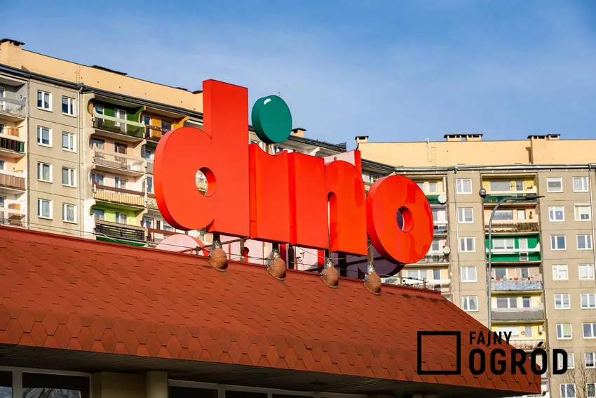 W dniach 22-28 października mnóstwo promocji w Dino Dino - sklep