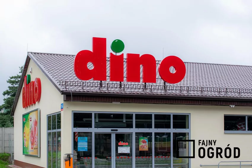 Nowa gazetka w Dino ważna do 28.10 Dino